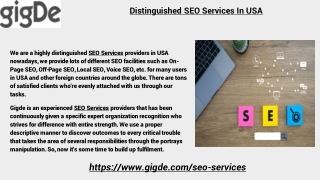 Distinguished SEO Services In USA