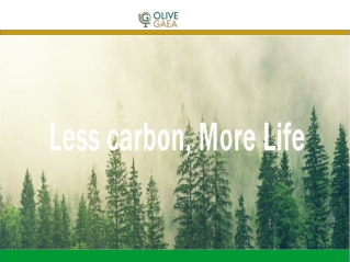 Plant a Tree