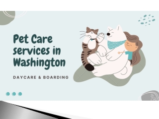 Pet Care services in Washington