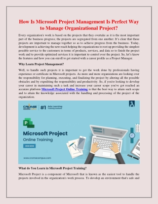 How Is Microsoft Project Management Is Perfect Way to Manage Organizational Project