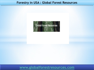 Forestry in USA - Global Forest Resources