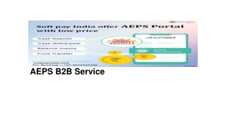 AEPS b2b service