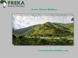 Bwindi Impenetrable National Park