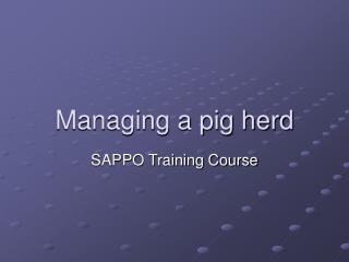 Managing a pig herd