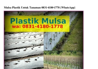 Mulsa Plastik Untuk Tanaman 08౩I~4I80~Iᜪᜪ8(WA)Mulsa Plastik Untuk Tanaman
