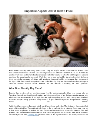 Important Aspects About Rabbit Food