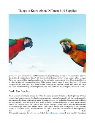 Things to Know About Different Bird Supplies