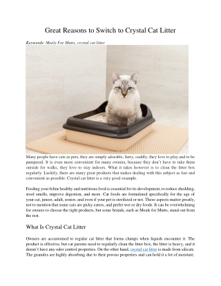 Great Reasons to Switch to Crystal Cat Litter