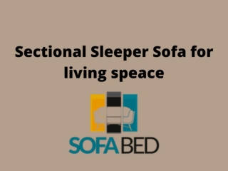 sectional sleeper sofa for living speace