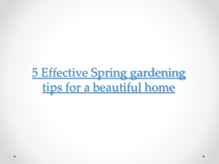5 Effective Spring Gardening Tips for a Beautiful Home