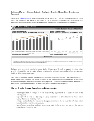 Collagen Market