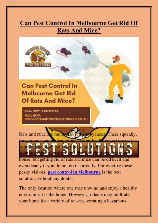Can Pest Control In Melbourne Get Rid Of Rats And Mice?