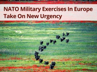 NATO military exercises in Europe take on new urgency
