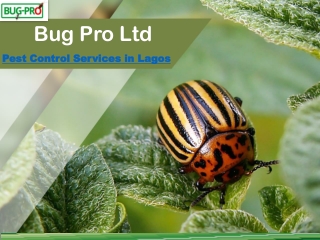 Fumigation Services in Lagos - Home Improvement & Pest Control