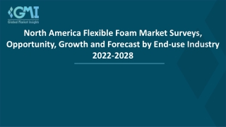 North America Flexible Foam Market