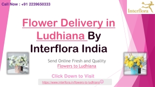 Online Flower Delivery in Ludhiana - Interflora India