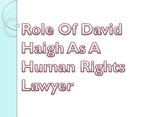 Role Of David Haigh As A Human Rights Lawyer
