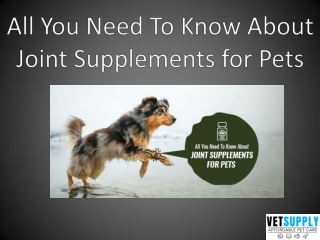 All You Need To Know About Joint Supplements for Pets