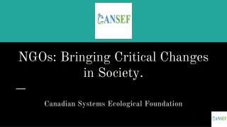 NGOs_ Bringing Critical Changes in Society.