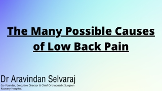 The Many Possible Causes of Low Back Pain