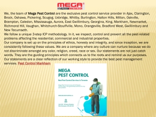 Pest Control In Brampton