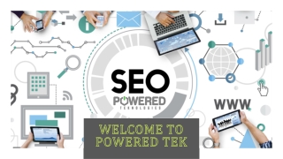 Best SEO Services Florida