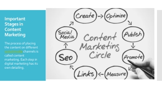 Important Stages in Content Marketing
