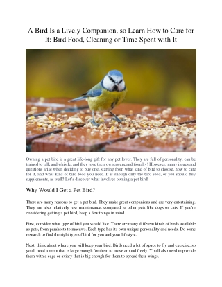 A Bird Is a Lively Companion so Learn How to Care for It Bird Food Cleaning or Time Spent with It