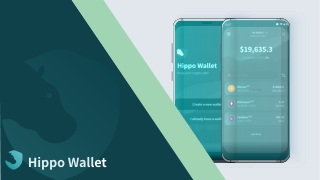 The Safest Crypto Wallet Is Here - Hippo Wallet.