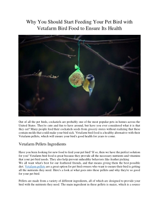 Why You Should Start Feeding Your Pet Bird with Vetafarm Bird Food to Ensure Its Health