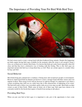 The Importance of Providing Your Pet Bird With Bird Toys