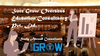 Study Abroad Consultants