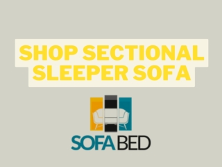 Shop sectional sleeper sofa