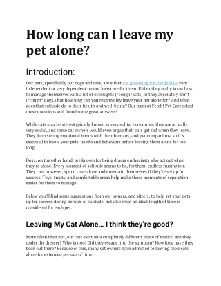How long can I leave my pet alone