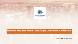 Reasons Why One Should Buy Property Insurance in Mexico