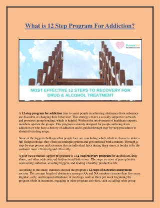 What is 12 Step Program For Addiction