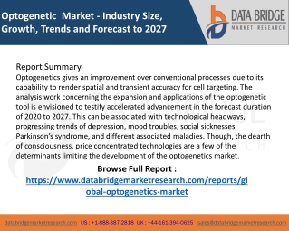 Optogenetic  Market