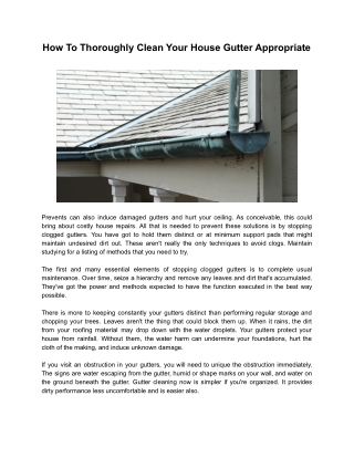 Roof Gutter Cleaning Geelong