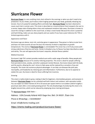 Slurricane Flower