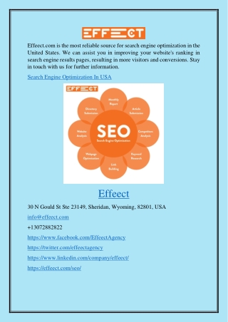 Search Engine Optimization In Usa Effeect.com