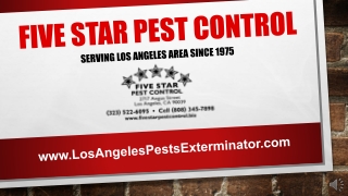 Emergency Pest Control Los Angeles, CA