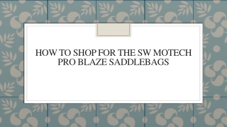 How To Shop For The Sw Motech Pro Blaze Saddlebags