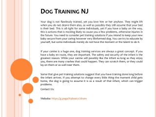 Dog Training NJ