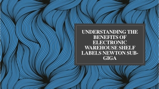 Understanding The Benefits Of Electronic Warehouse Shelf Labels newton sub-giga