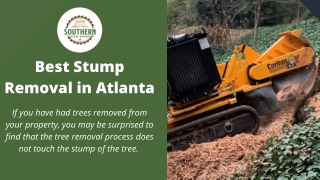 Best Stump Removal in Atlanta