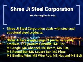 MS Flat Suppliers in India