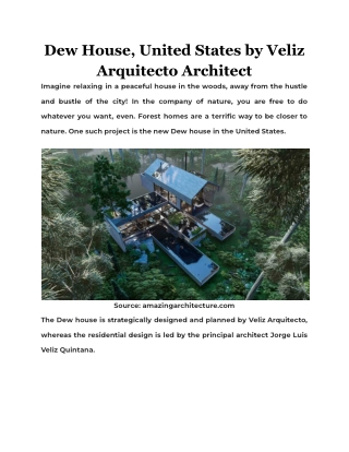 Dew House, United States by Veliz Arquitecto Architect