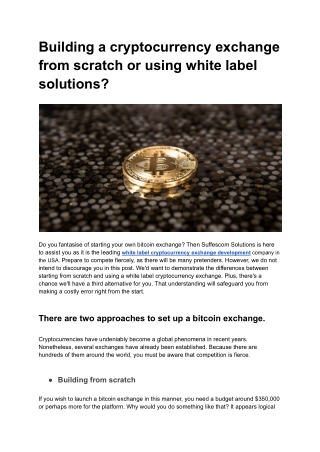 Building a cryptocurrency exchange from scratch or using white label solutions