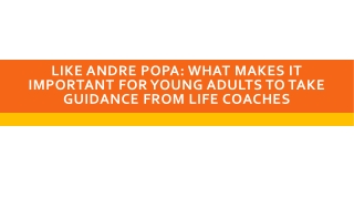 Like Andre Popa What Makes It Important for Young Adults to Take Guidance from Life Coaches
