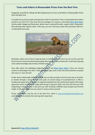 Tours and Safaris at Reasonable Prices from the Best Firm